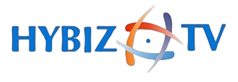 HYBIZTV - interview about spryple